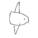サカナ の絵: まんぼう
