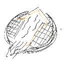 かす の絵: するめいか