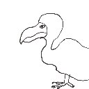 まんこ の絵: どーどー