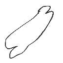 しょん の絵: ほね