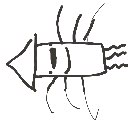ちーずる の絵: いか