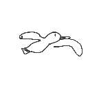 utyuikun の絵: かもめ