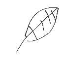 おお の絵: はっぱ