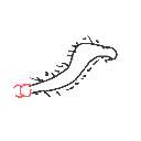 たのむて の絵: むかで