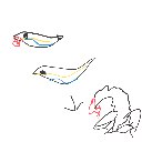 にごたにごたろう の絵: しびしらす