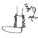たく の絵: るーずそっくす