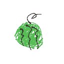 ビルダー拓也 の絵: すいか