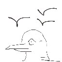 ちんぽ の絵: かもめ