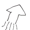 かい の絵: いか
