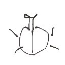 にわ の絵: むし