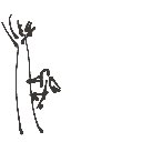 サニー の絵: きつつき