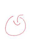 ﾗﾝｶ の絵: りんご