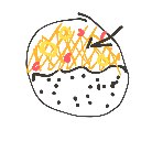 アレ の絵: るー