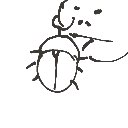 まさきの の絵: むし