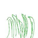 ののか の絵: にら