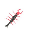 らっこ の絵: むかで