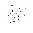 ささ の絵: ごま