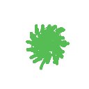 しおから の絵: まりも