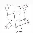 CORSAIR の絵: かめ
