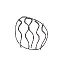 ひまわり の絵: すいか