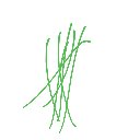 そりだり の絵: ねぎ