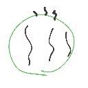 ? の絵: すいか