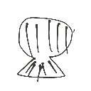 しょょ の絵: かいがら
