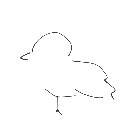 ? の絵: かもめ