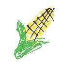 haya の絵: とうもろこし