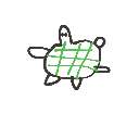 ゆう の絵: かめ