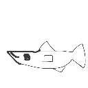 8539 の絵: めだか