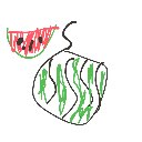 かつどん の絵: すいか