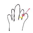 い の絵: りんぐ