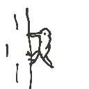 マルゲリータ の絵: きつつき