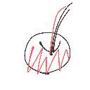 まろ の絵: りんご