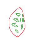山之内孝子 の絵: とまと