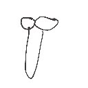 ゆうなちん の絵: ちんこ
