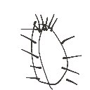 らいにー の絵: まんこ