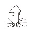 みう の絵: いか