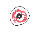 まんこ の絵: めだま