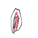 かつどん の絵: まんこ