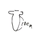おかか の絵: こんどーむ