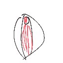 まんこ の絵: えびふらい