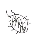 かいと の絵: ごきぶり