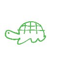 らっこ の絵: かめ