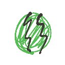 🤩🤩🤩🤩🤩 の絵: すいか