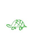 にゃんこ の絵: かめ