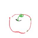 せら の絵: りんご