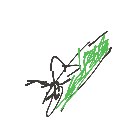 ゆうし の絵: きつつき