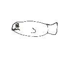 ゆきこ の絵: めだか